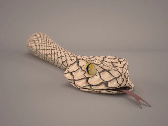 Snake 3D Model .c4d .max .obj .3ds .fbx .stl .blend 