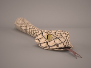Snake 3D Model