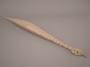 Snake 3Dモデル