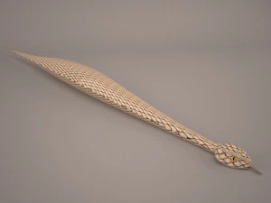 Snake 3D Model