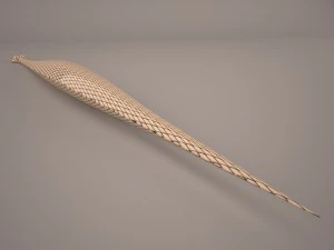 Snake 3D Model