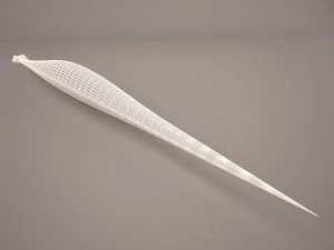 Snake 3D Model