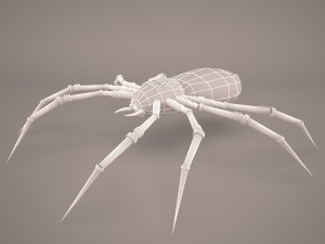 Cartoon spider 3D Model