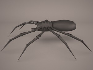 Cartoon spider 3D Model