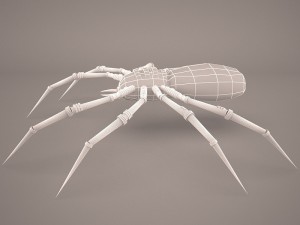 Cartoon spider 3D Model