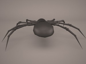 Cartoon spider 3D Model