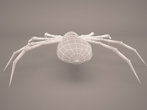 Cartoon spider 3D Model