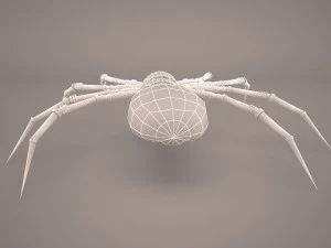 만화 거미 3D 모델