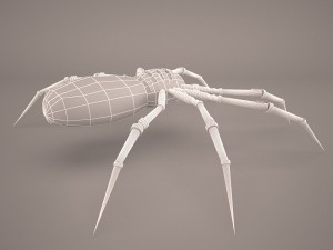 Cartoon spider 3D Model