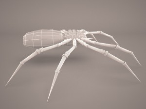 Cartoon spider 3D Model