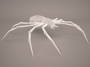 Cartoon spider 3D Model