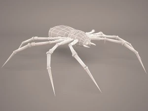 만화 거미 3D 모델