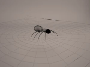 cartoon spider 3D Model