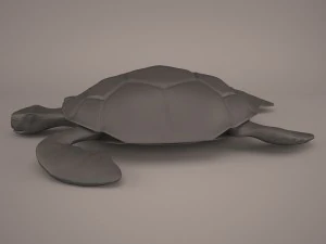 Cartoon turtle 3D Model