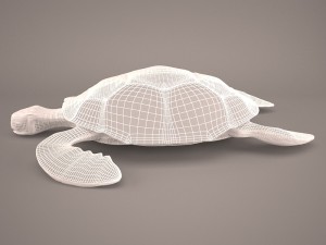 Cartoon turtle Modelo 3D