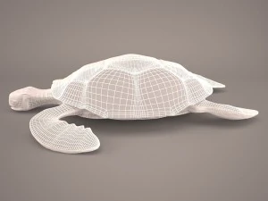 Cartoon turtle 3D Model