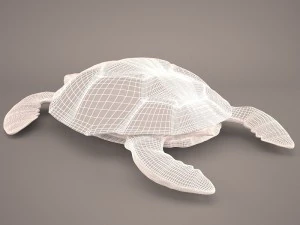 Cartoon turtle 3D Model