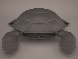 Cartoon turtle Modelo 3D