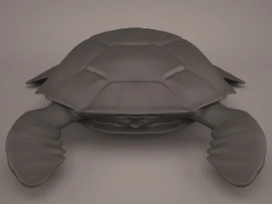 Cartoon turtle 3D Model