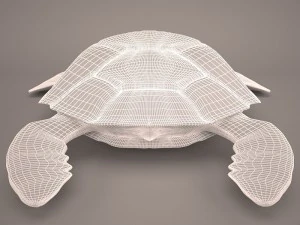 Cartoon turtle 3D Model