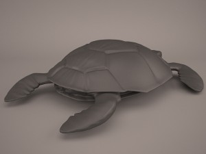 Cartoon turtle Modelo 3D