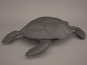 Cartoon turtle 3D Model