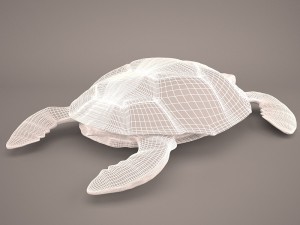 Cartoon turtle Modelo 3D