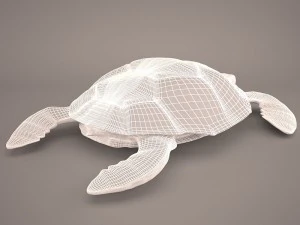 Cartoon turtle 3D Model