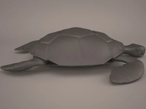 Cartoon turtle 3D Model