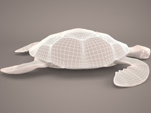 Cartoon turtle Modelo 3D