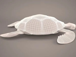 Cartoon turtle 3D Model
