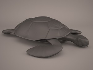 Cartoon turtle Modelo 3D