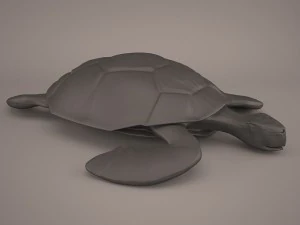 Cartoon turtle 3D Model