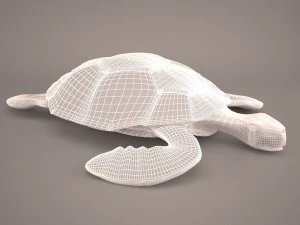 Cartoon turtle 3D Model