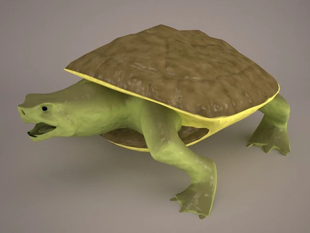 Cartoon turtle 2 3D Model .c4d .max .obj .3ds .fbx .stl .blend