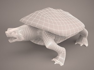 Cartoon turtle 2 3D Модель