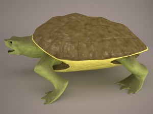 Cartoon turtle 2 3D Модель