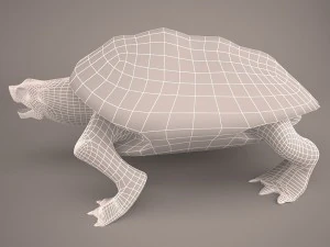 Cartoon turtle 2 3D Model
