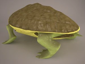 Cartoon turtle 2 3D Model