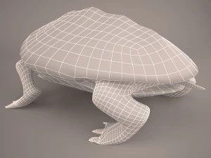 Cartoon turtle 2 3D Model