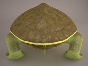 Cartoon turtle 2 3D Модель