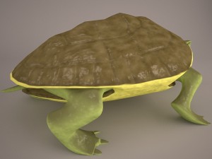 Cartoon turtle 2 3D Модель