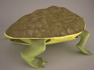 Cartoon turtle 2 3D Model
