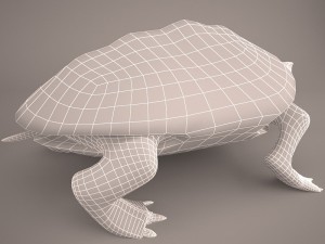 Cartoon turtle 2 3D Модель