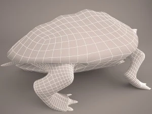 Cartoon turtle 2 3D Model