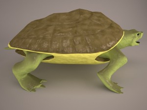 Cartoon turtle 2 3D Модель