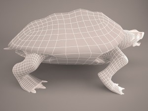 Cartoon turtle 2 3D Модель