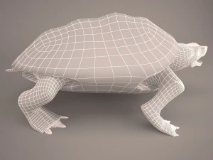 Cartoon turtle 2 3D Model