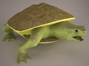 Cartoon turtle 2 3D Model