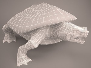 Cartoon turtle 2 3D Модель